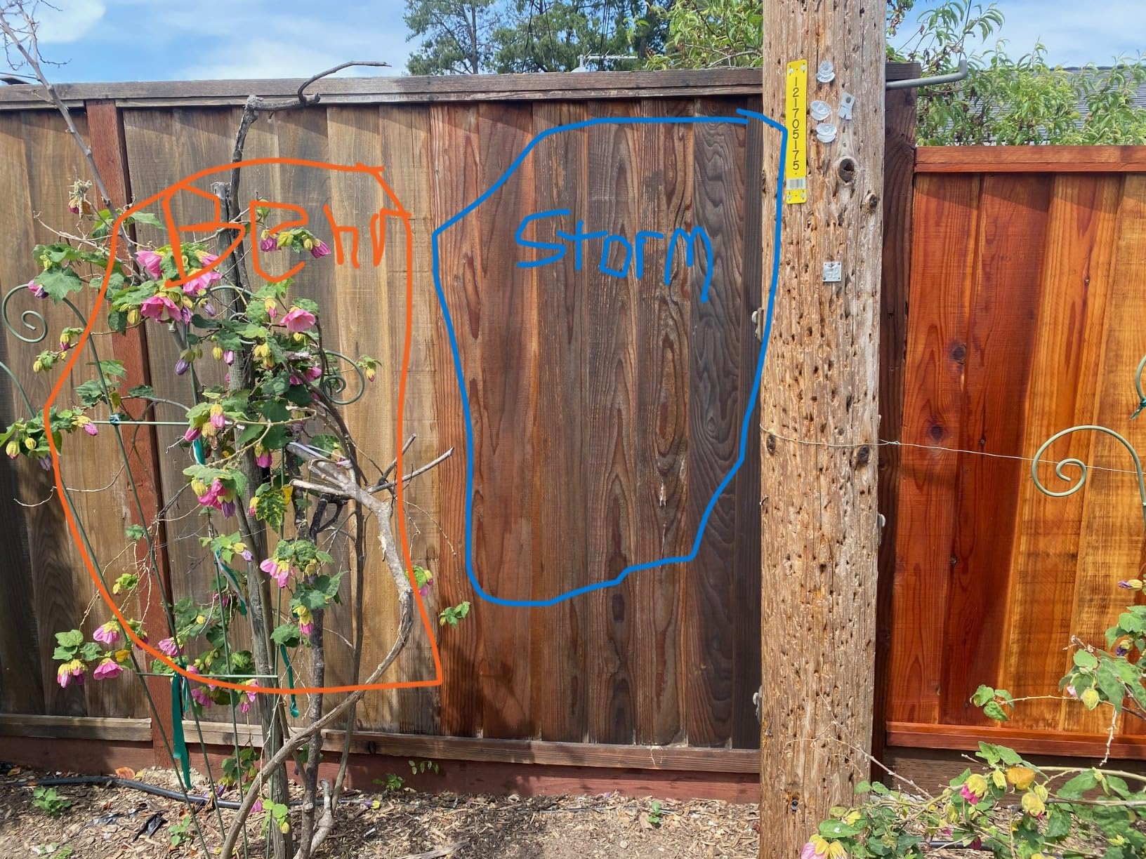 Storm System Protector - Black Walnut, 1 Gallon, Protects Outdoor Wood from Water & UV Rays, Siding, Fence & Deck Stain and Sealer, Outdoor Wood Stain and Sealer - Customer Photo 2