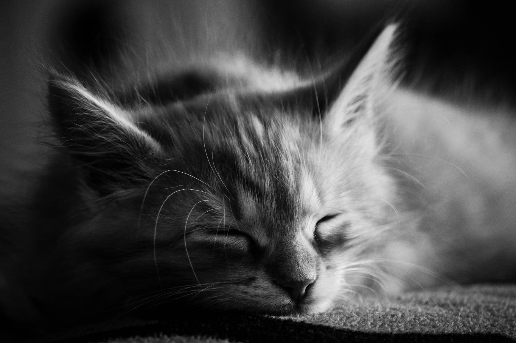 Canon EOS M50 Mirrorless Camera Kit w/EF-M15-45mm and 4K Video (Black) (Renewed) - Customer Photo 1