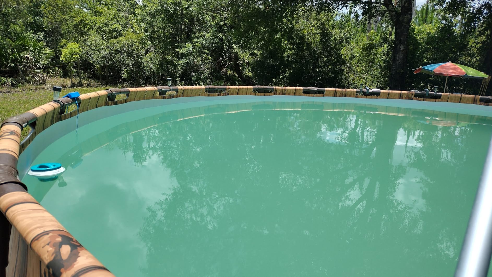 Intex 26651EG 3,000 GPH Above Ground Pool Sand Filter Pump with Automatic Timer Customer Review Intex 26651EG 3,000 GPH Above Ground Pool Sand Filter Pump with Automatic Timer - Customer Photo 1