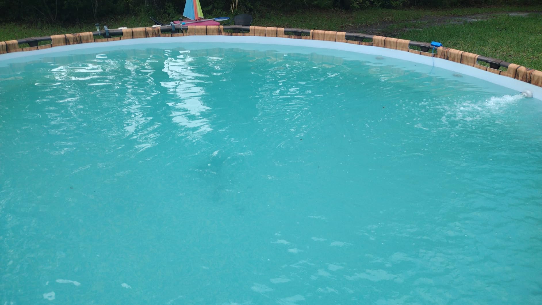 Intex 26651EG 3,000 GPH Above Ground Pool Sand Filter Pump with Automatic Timer Customer Review Intex 26651EG 3,000 GPH Above Ground Pool Sand Filter Pump with Automatic Timer - Customer Photo 2