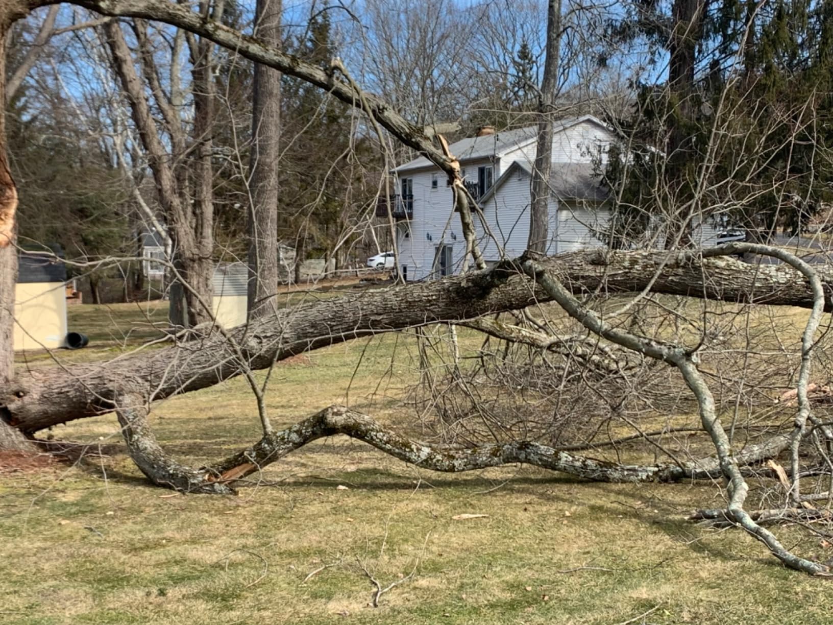 Milwaukee 2727-20 M18 FUEL 16 in. Chainsaw Tool Only - Battery and Charger NOT Included Customer Review Milwaukee 2727-20 M18 FUEL 16 in. Chainsaw Tool Only - Battery and Charger NOT Included - Customer Photo 1