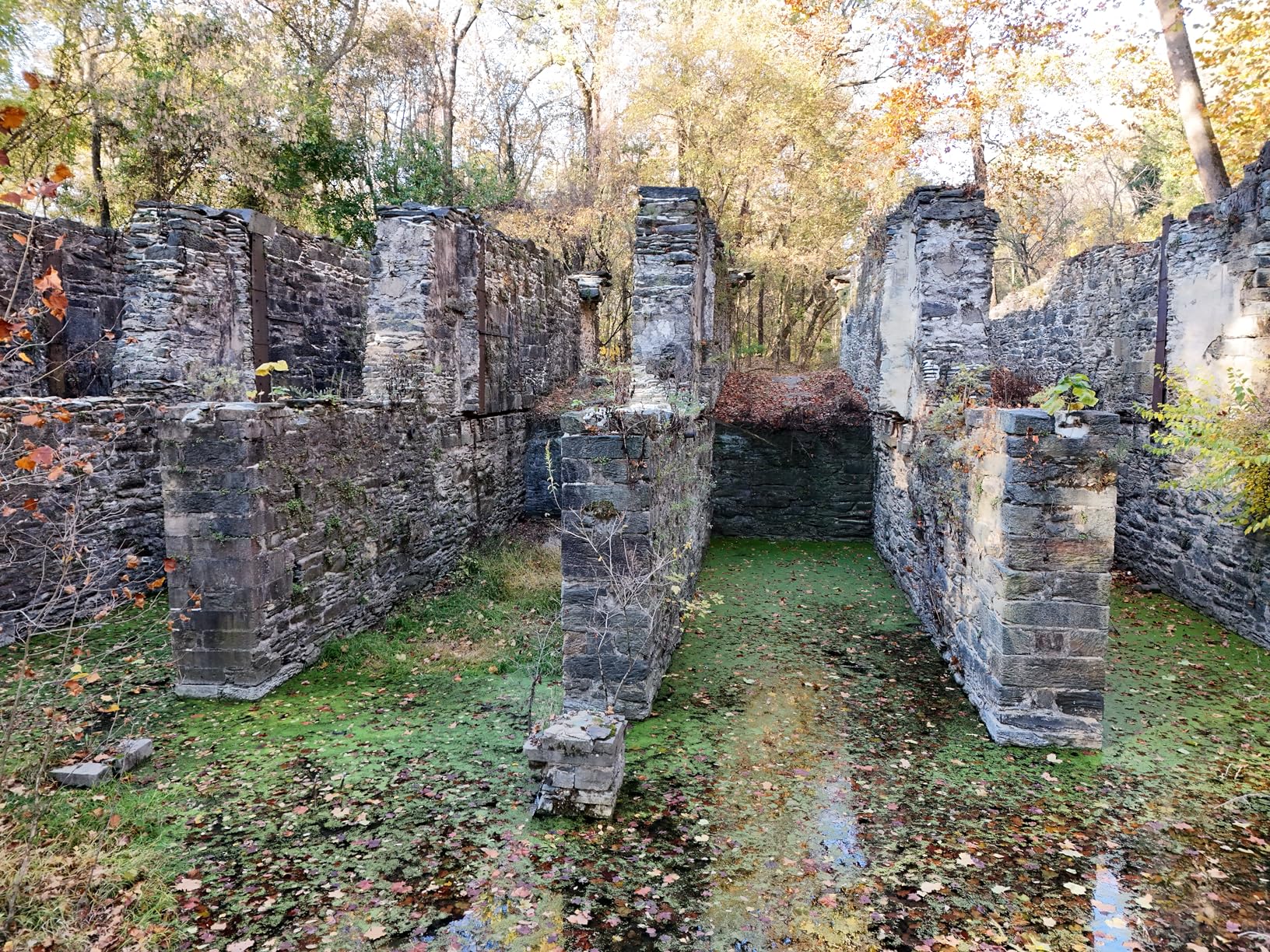 DJI Air 3 Fly More Combo with DJI RC 2, Drone with Camera 4K, Dual Primary Cameras, 3 Batteries for Extended Flight Time, 48MP Photo, 20Km Max Video Transmission, FAA Remote ID Compliant - Customer Photo 2