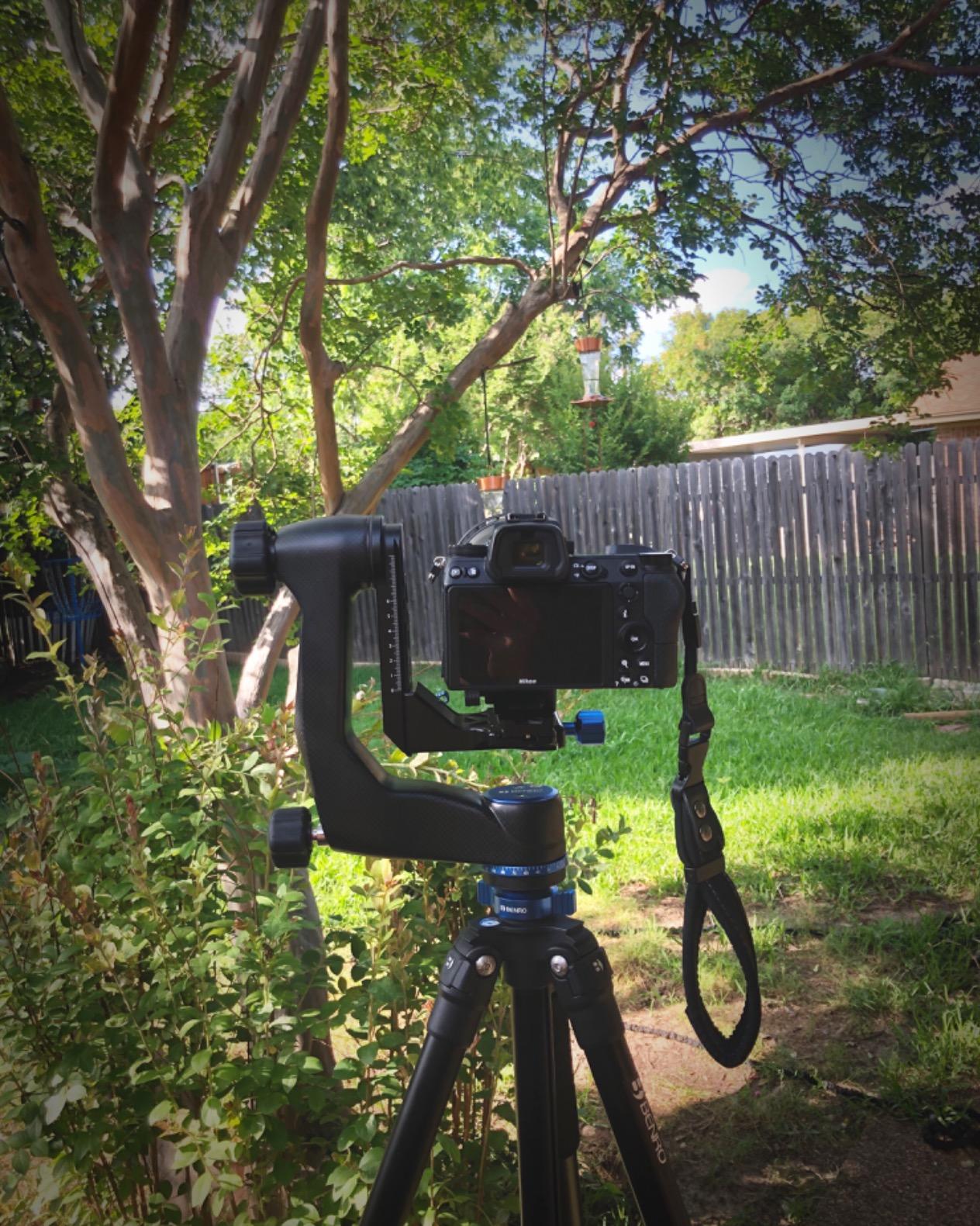 Benro Carbon Fiber Gimbal Head – Professional Lightweight Gimbal Tripod Head with Arca-Swiss Clamp, Pan & Tilt Control, and 66 lb Load Capacity for Telephoto Lenses & Wildlife Photography (GH5C) - Customer Photo 2