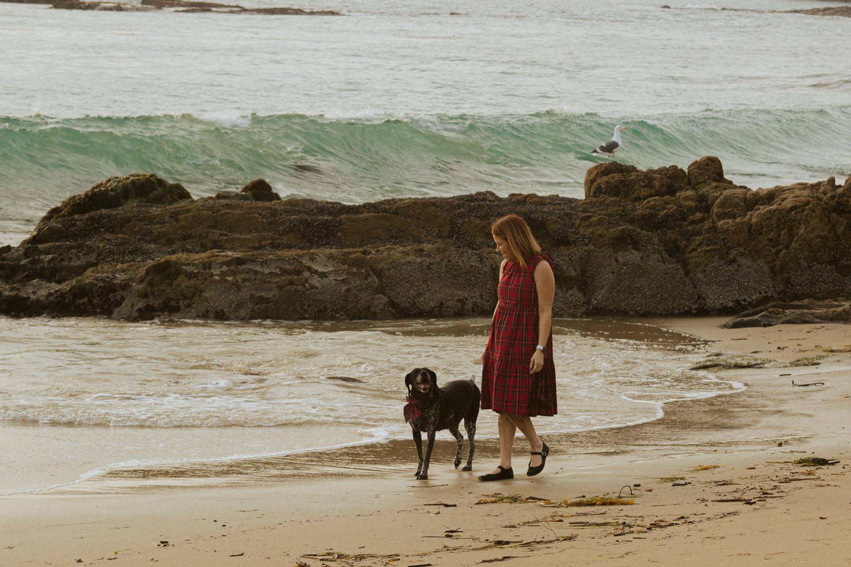 Meike 85mm F1.8 Full Frame Auto Focus Medium-Telephoto Portrait Lens Compatible with Canon EOS EF Mount Digital SLR Cameras 5D Mark IV 6D Mark II - Customer Photo 1