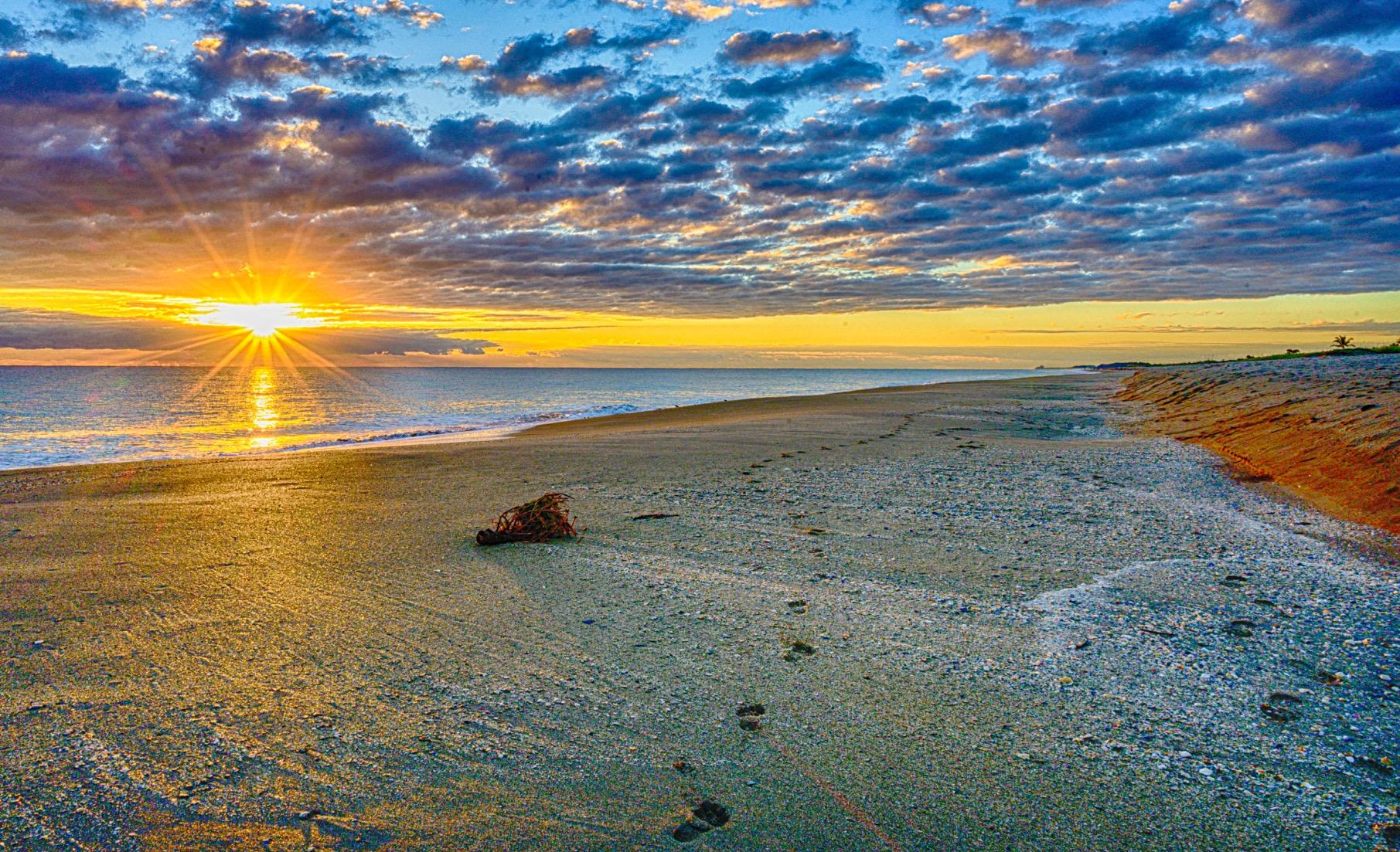 Nikon NIKKOR Z 24-70mm f/4 S | Premium constant aperture mid-range zoom lens for Z series mirrorless cameras | Nikon USA Model - Customer Photo 3