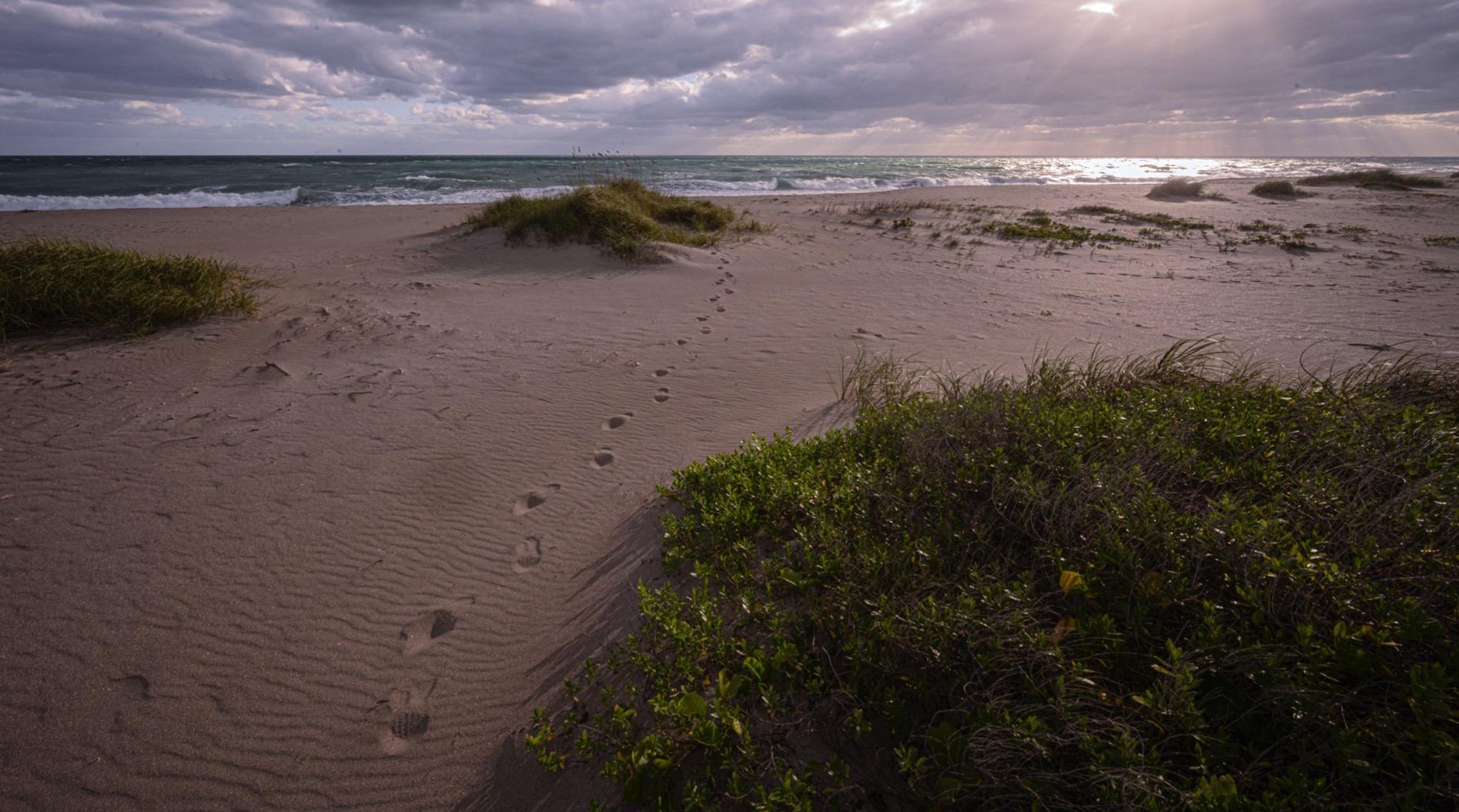 Nikon NIKKOR Z 24-70mm f/4 S | Premium constant aperture mid-range zoom lens for Z series mirrorless cameras | Nikon USA Model - Customer Photo 5