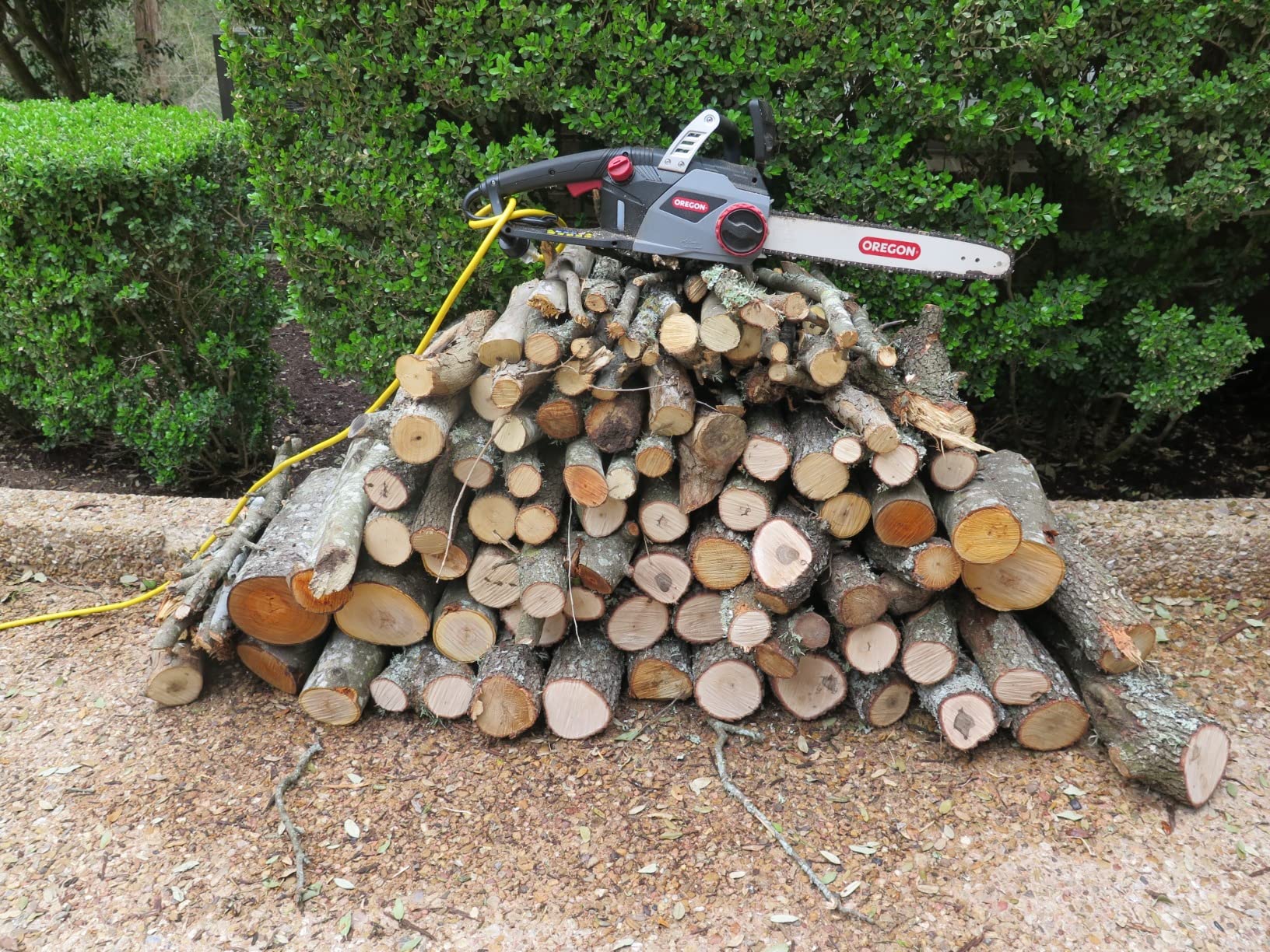 Oregon CS1400 15 Amp Electric Chainsaw, Powerful Corded Electric Saw with 16-Inch Guide Bar & ControlCut Saw Chain, Quiet & Low Kickback, 2-Year Warranty (603348) - Customer Photo 2