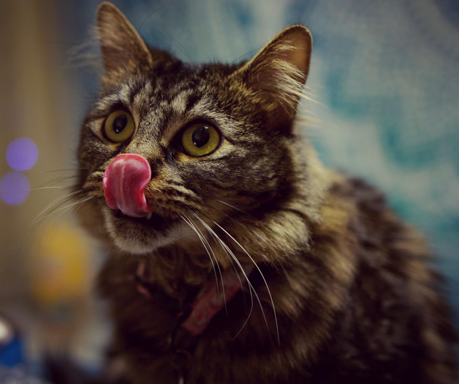 Canon RF35mm F1.8 is Macro STM Lens - Customer Photo 1