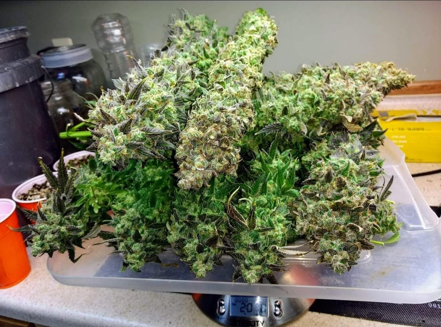 ECOWITT WH51 Soil Moisture Sensor Soil Humidity Tester - Accessory Only, Can Not Be Used Alone - Customer Photo 1