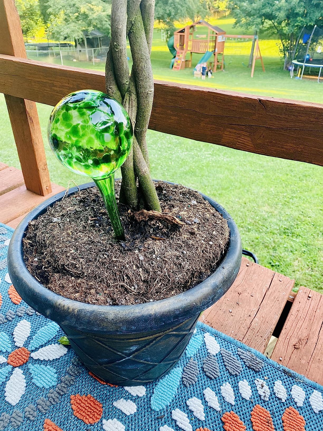 4-Piece Watering Globe Set, Colorful Hand-Blown Glass Plant Watering System - Customer Photo 2