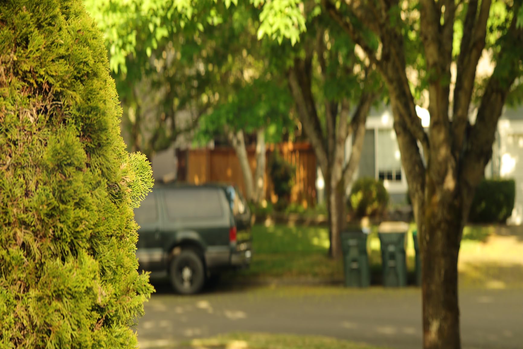 SIRUI 75mm F1.8 1.33X APS-C Anamorphic Lens for MFT Mount, Blue Flare - Customer Photo 2