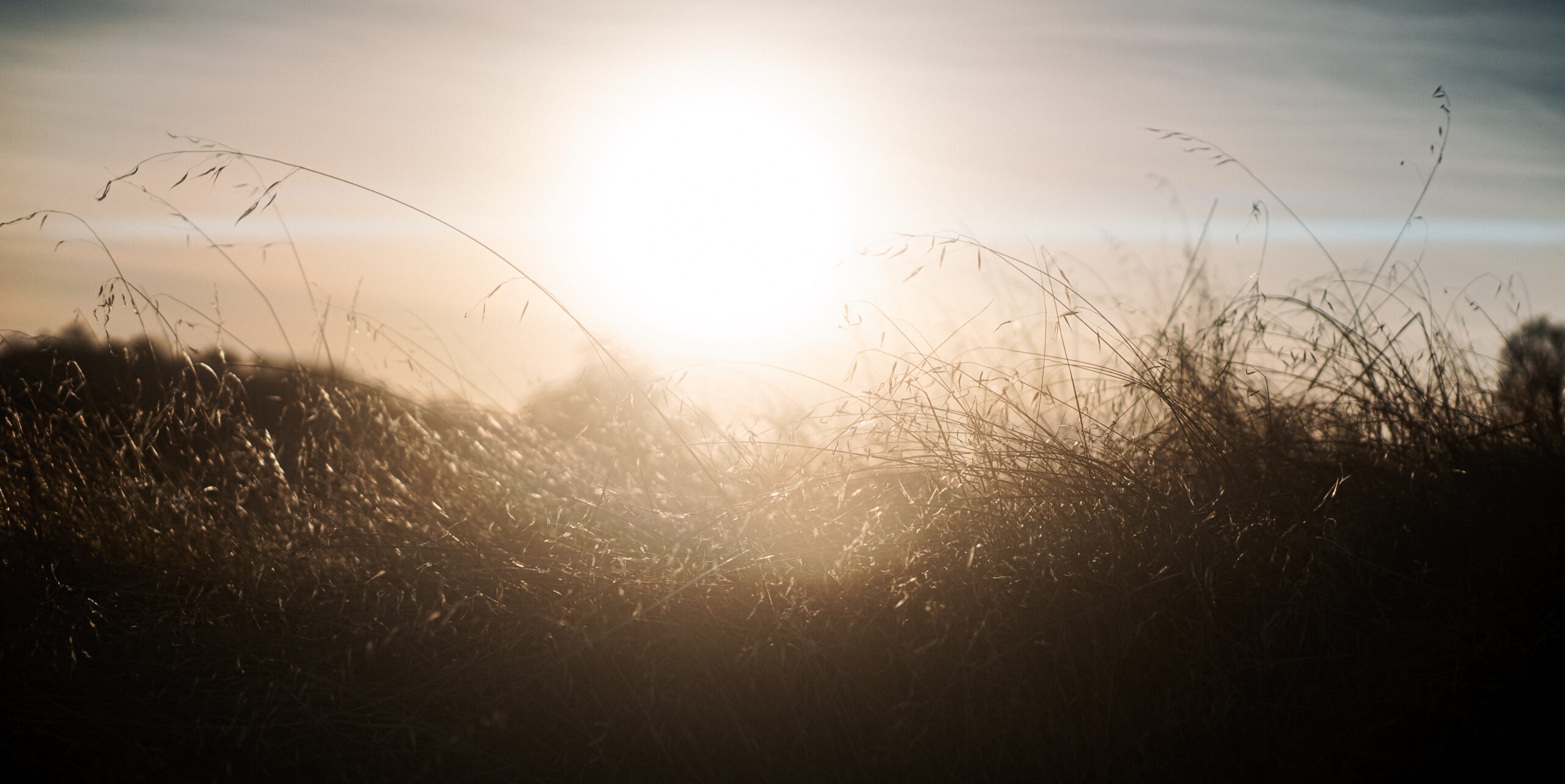 SIRUI 50mm F1.8 1.33X S35 Anamorphic Lens for RF Mount, Blue Flare - Customer Photo 2