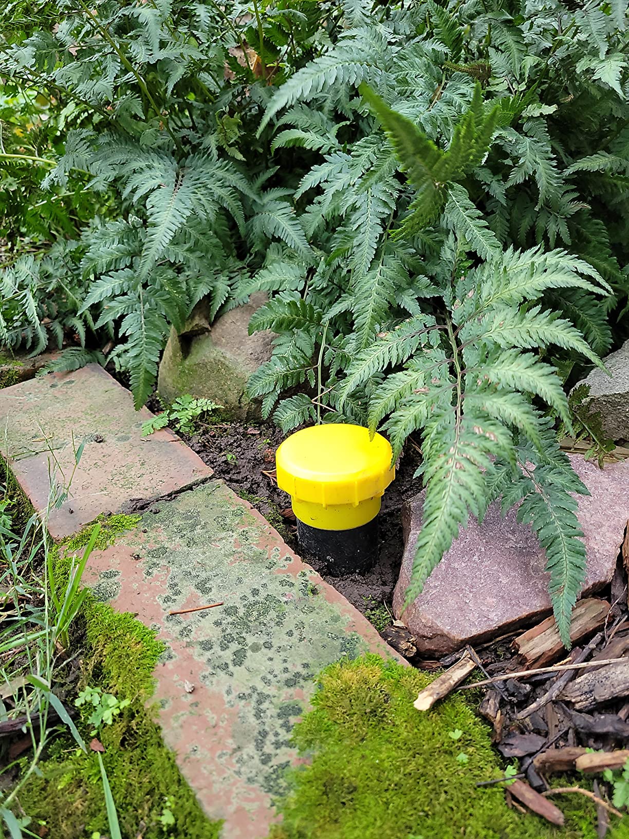 Victor Mole and Gopher Sonic Spike - Outdoor Mole and Gopher Repellent - M9012 - Chemical Free Solution - 2 Pack Sonic Spikes - Customer Photo 1