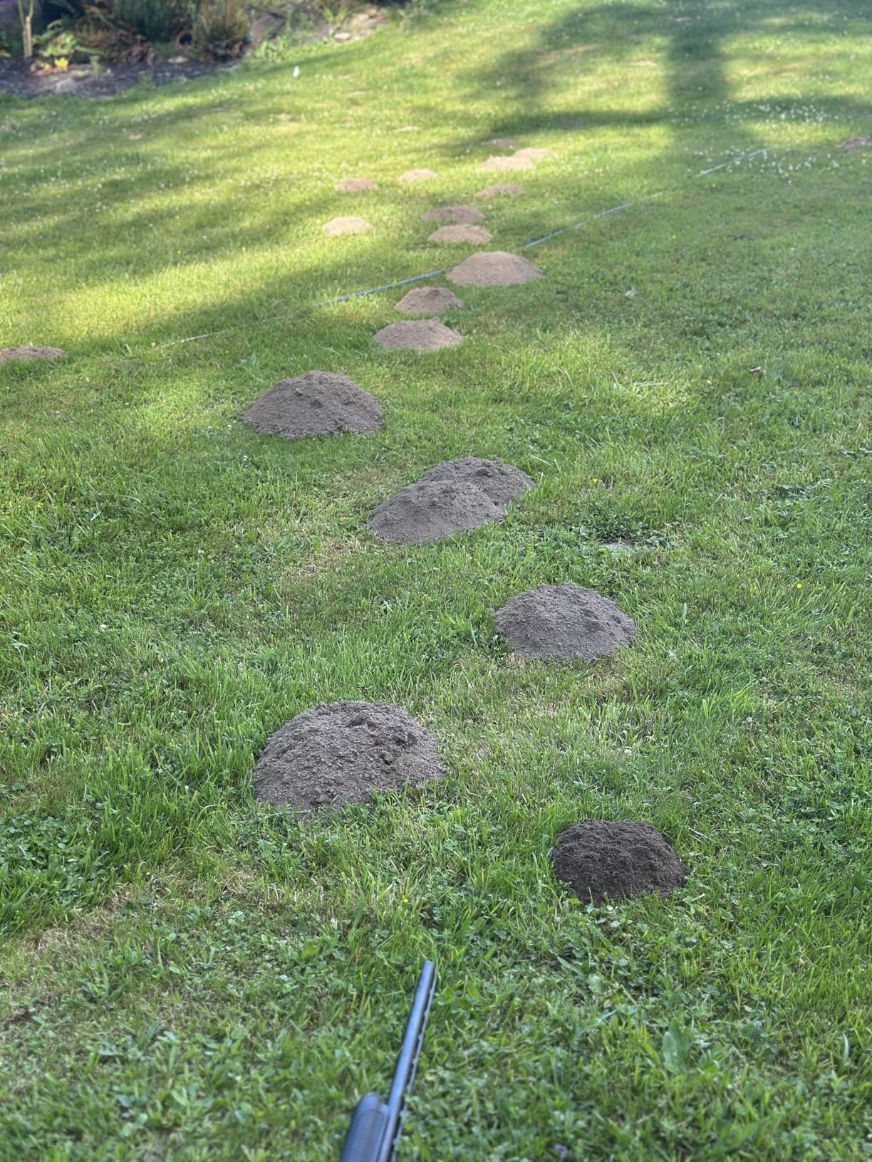 Victor Mole and Gopher Sonic Spike - Outdoor Mole and Gopher Repellent - M9012 - Chemical Free Solution - 2 Pack Sonic Spikes - Customer Photo 2