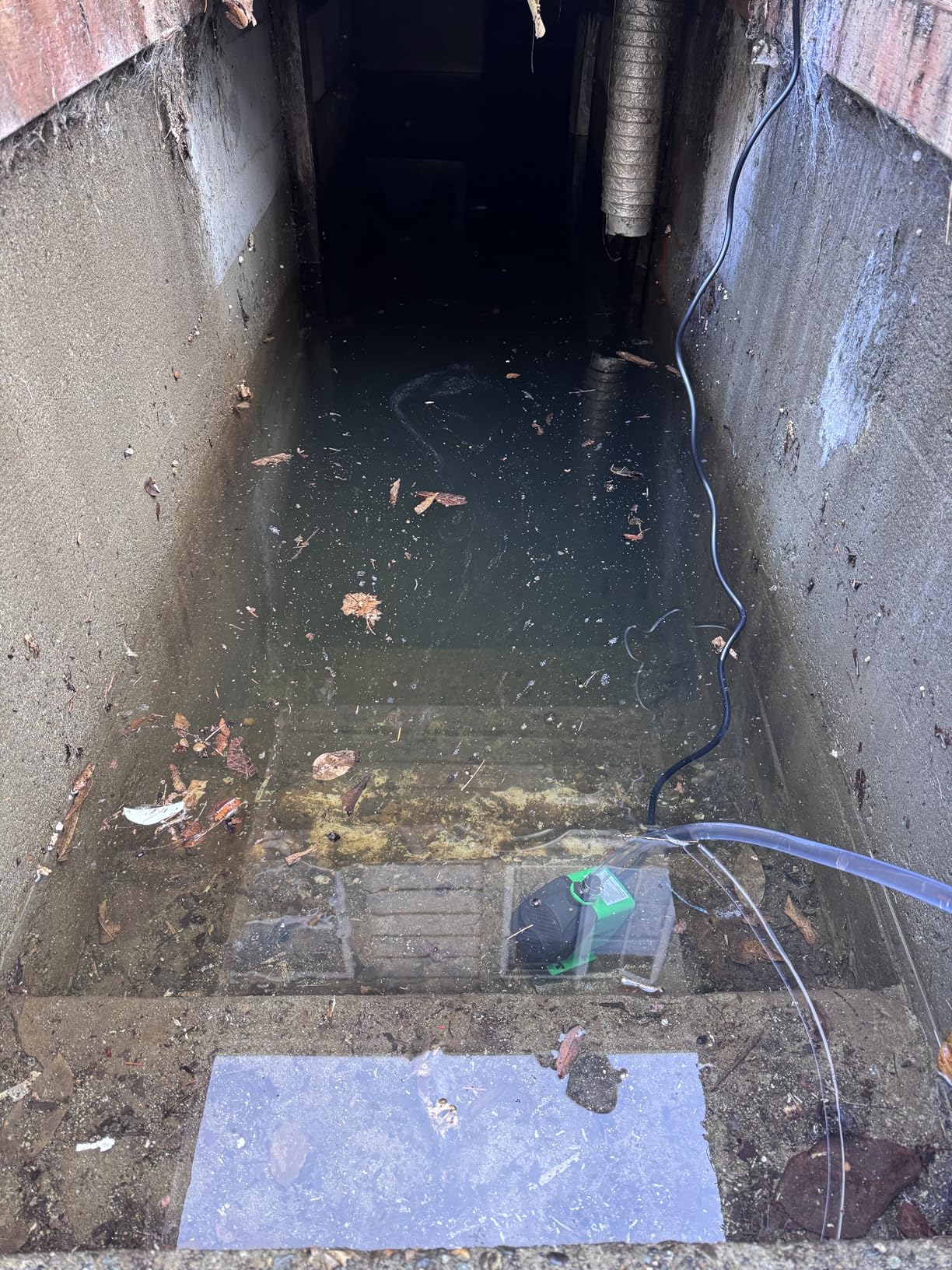 VIVOSUN 800GPH Submersible Pump(3000L/H, 24W), Ultra Quiet Water Fountain Pump with 10ft. High Lift with 6.5ft. Power Cord, 3 Nozzles for Fish Tank, Pond, Aquarium, Statuary, Hydroponics Green Customer Review VIVOSUN 800GPH Submersible Pump(3000L/H, 24W), Ultra Quiet Water Fountain Pump with 10ft. High Lift with 6.5ft. Power Cord, 3 Nozzles for Fish Tank, Pond, Aquarium, Statuary, Hydroponics Green - Customer Photo 1