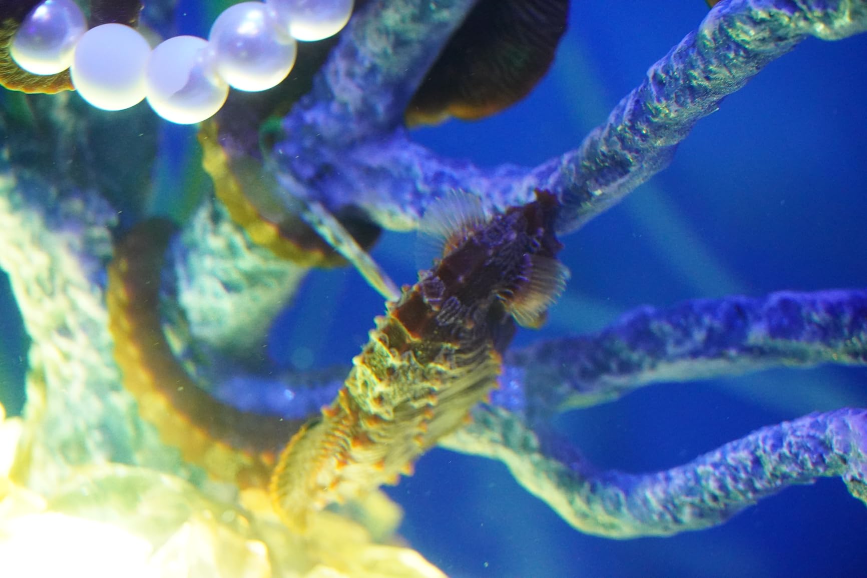 Sony Alpha a6400 Mirrorless Camera: Compact APS-C Interchangeable Lens Digital Camera with Real-Time Eye Auto Focus, 4K Video & Flip Up Touchscreen - E Mount Compatible Cameras - ILCE-6400/B Body - Customer Photo 1