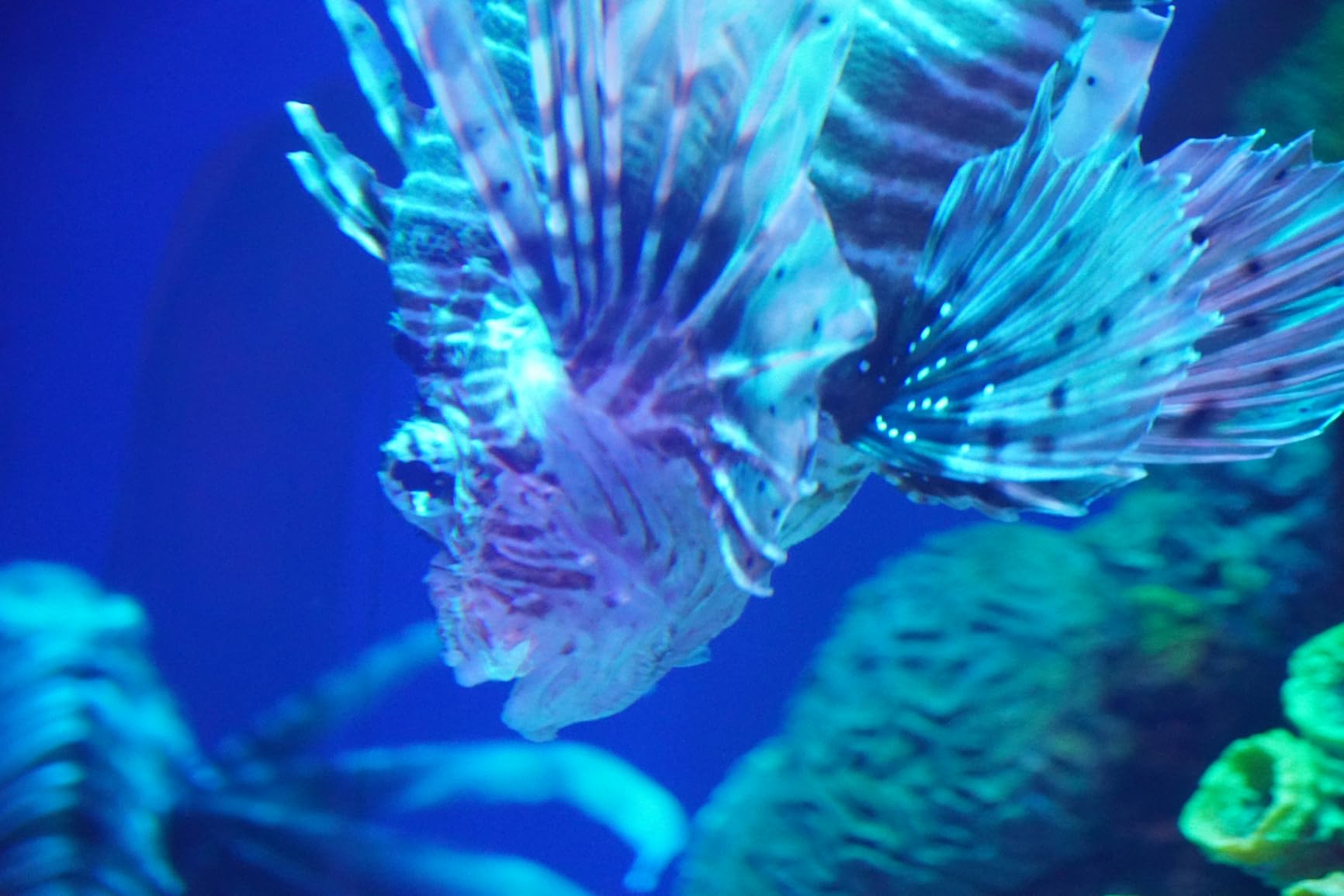 Sony Alpha a6400 Mirrorless Camera: Compact APS-C Interchangeable Lens Digital Camera with Real-Time Eye Auto Focus, 4K Video, Flip Screen & 18-135mm - E Mount Compatible Cameras ILCE-6400M/B - Customer Photo 2