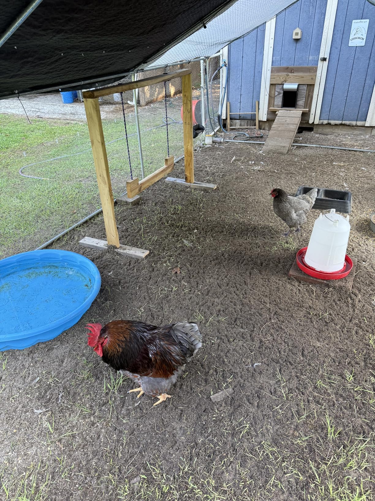 homenote Misting Cooling System 75FT (23M) Misting Line + 28 Brass Mist Nozzles + Brass Adapter(3/4