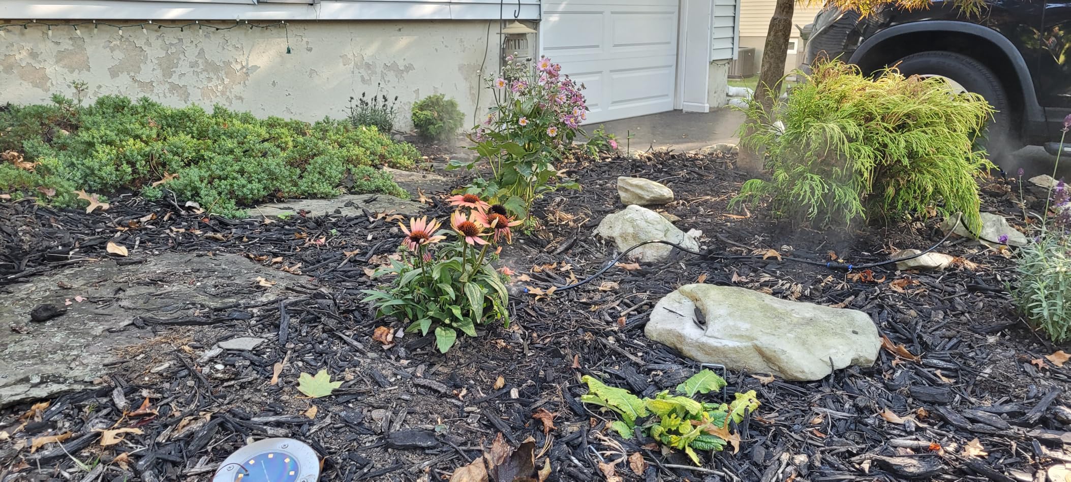 homenote Misting Cooling System 75FT (23M) Misting Line + 28 Brass Mist Nozzles + Brass Adapter(3/4