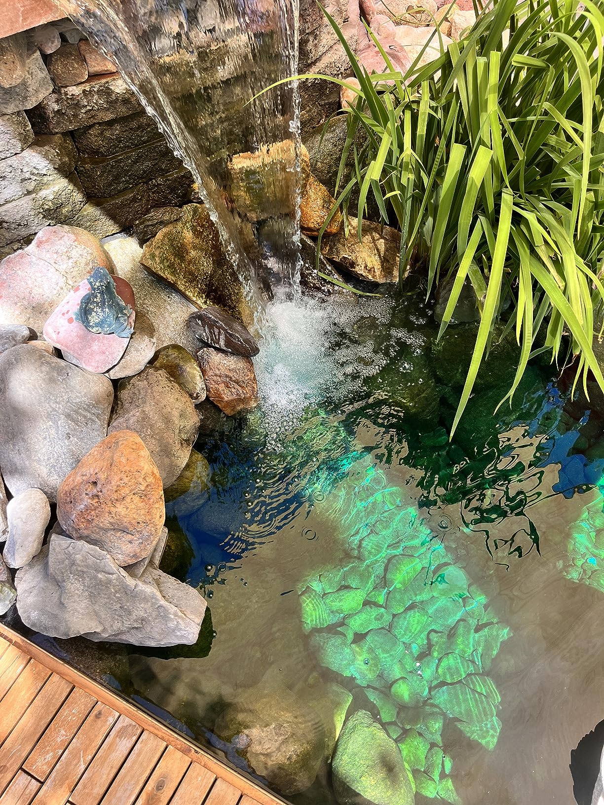 The Pond Guy AllClear G2 Bio Pressure Filter & Ultraviolet Light Clarifier with Backflush System, Pressurized External UVC Biological & Mechanical Filtration, Koi Fish Water Garden, All Clear 3500 customer photo 1