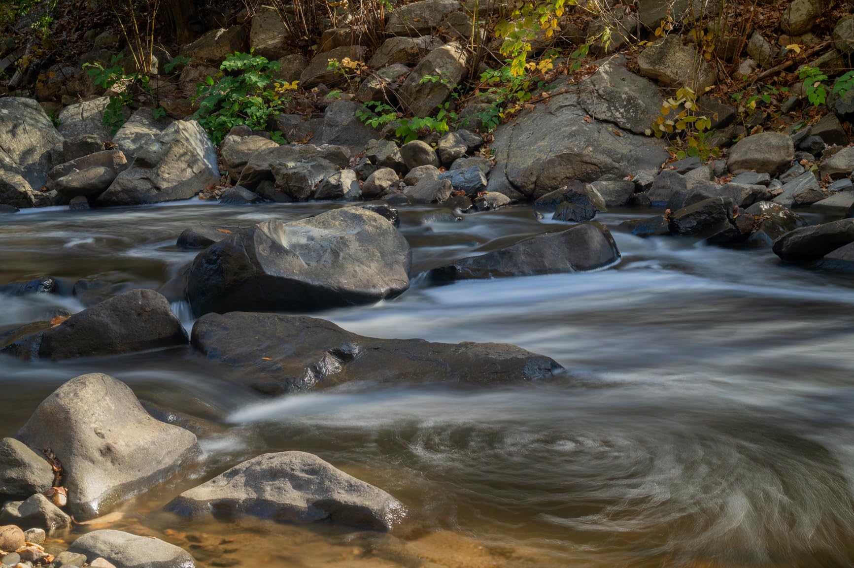 Nikon NIKKOR Z 24-70mm f/2.8 S Customer Review Nikon NIKKOR Z 24-70mm f/2.8 S - Customer Photo 1