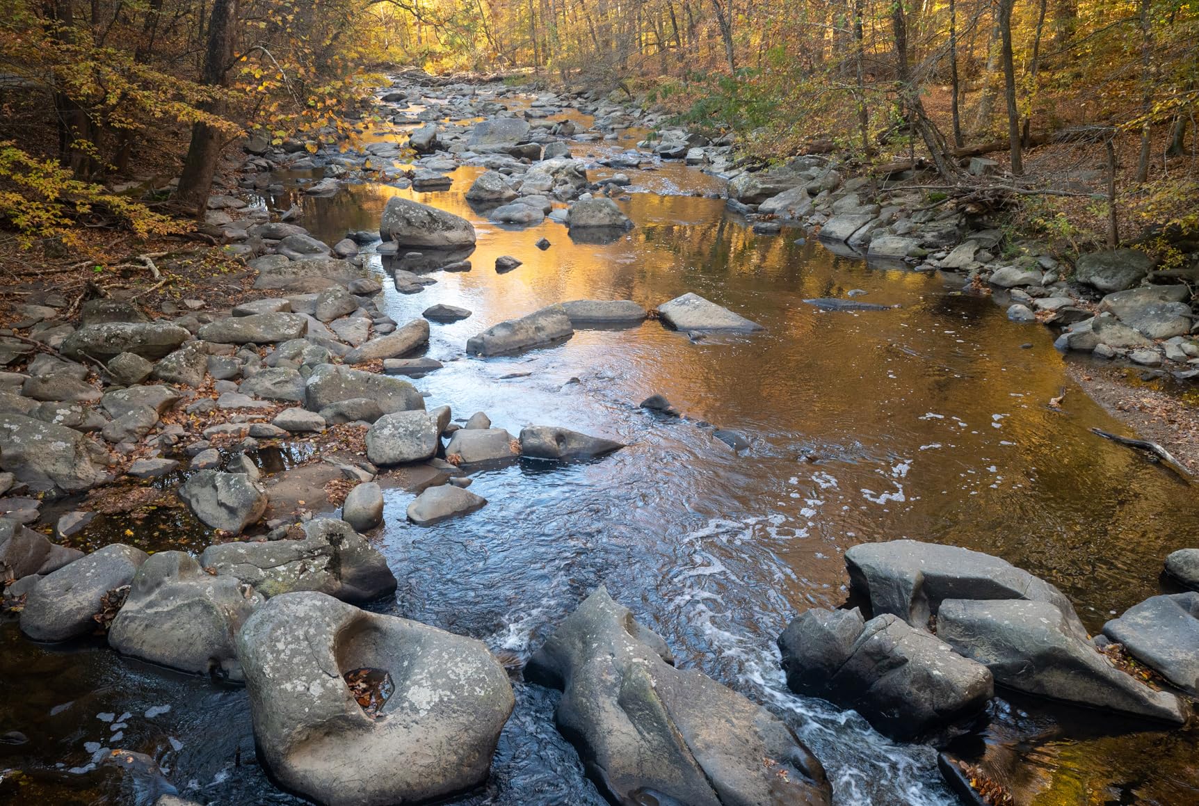 NIKKOR Z 24-70mm f/2.8 S | Professional large aperture mid-range zoom lens for Z series mirrorless cameras | Nikon USA Model - Customer Photo 2