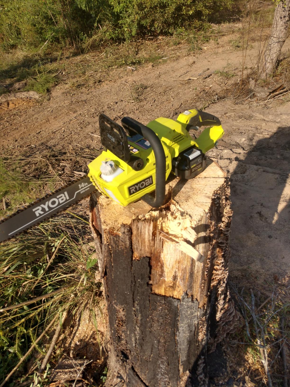Ryobi 14 in. 40-Volt Baretool Brushless Lithium-Ion Cordless Chainsaw, 2019 Model RY40530, Li-Ion 40V, (Battery and Charger Not Included) Customer Review Ryobi 14 in. 40-Volt Baretool Brushless Lithium-Ion Cordless Chainsaw, 2019 Model RY40530, Li-Ion 40V, (Battery and Charger Not Included) - Customer Photo 1