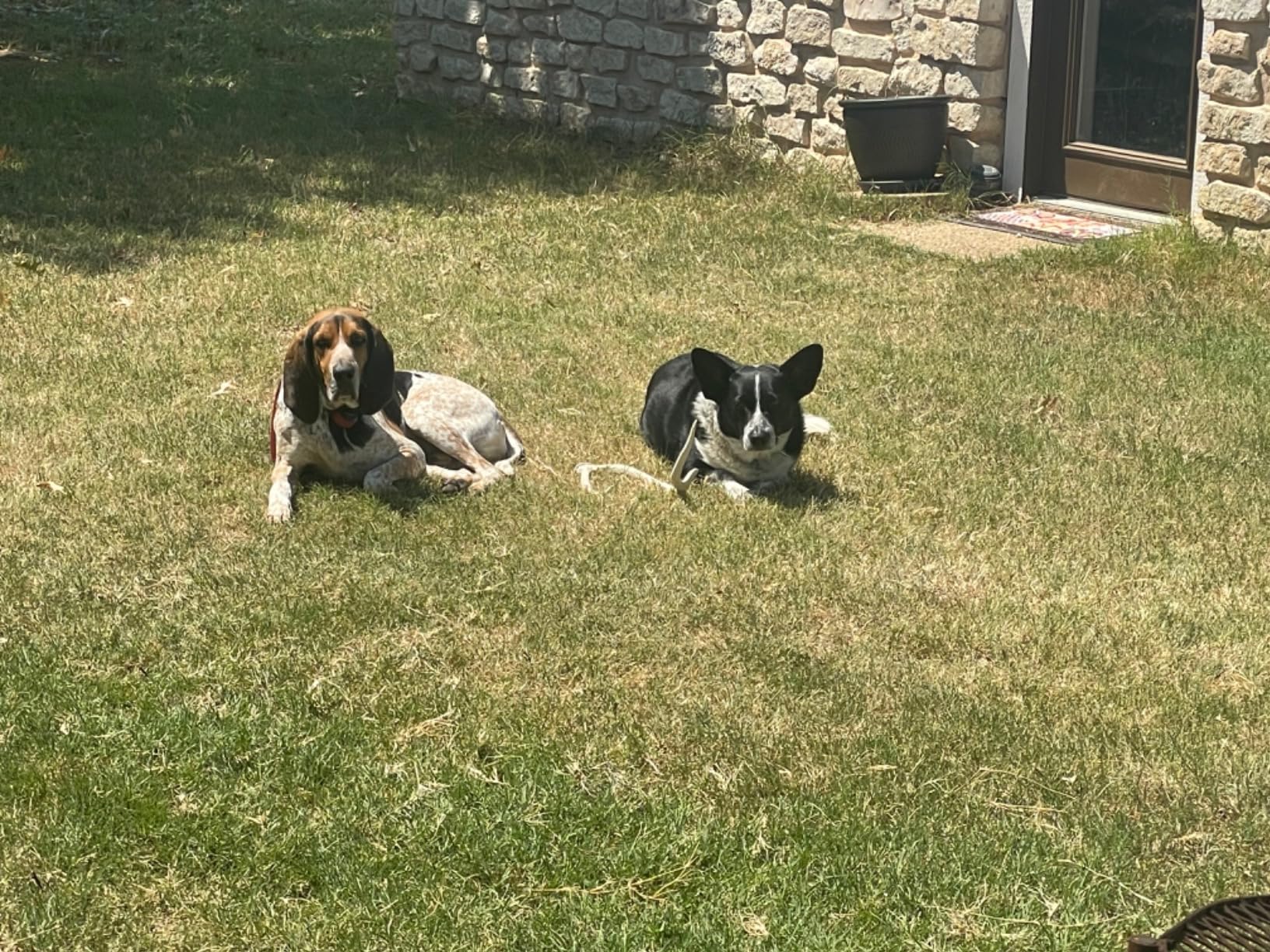 Product Customer Review Product - Customer Photo 2