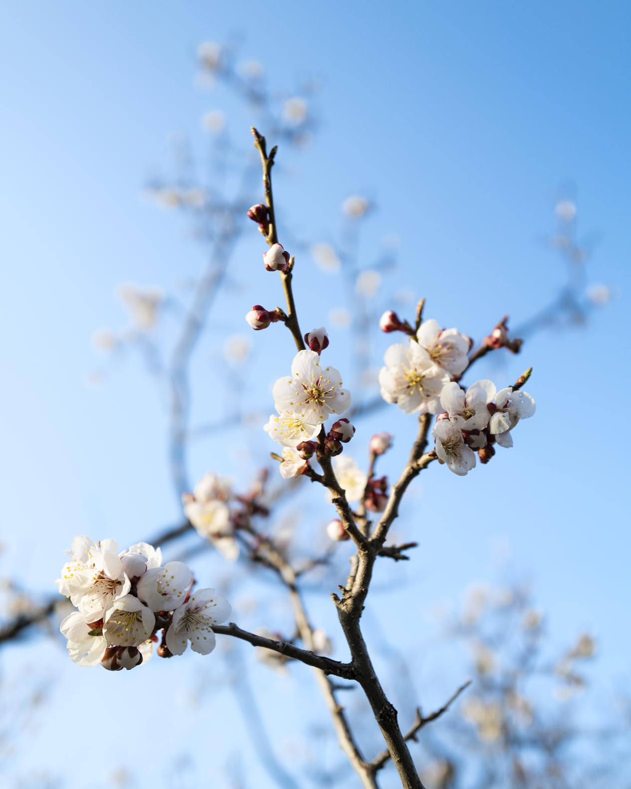 Leica Q2 Digital Camera (19050) - Customer Photo 1