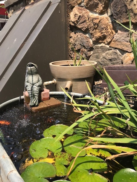 The Pond Guy SolidFlo G2 Submersible Pump for Small Ponds, Water Gardens & Waterfalls, Quiet, Durable, and Efficient Flow, Easy DIY Setup, 600 GPH Customer Review The Pond Guy SolidFlo G2 Submersible Pump for Small Ponds, Water Gardens & Waterfalls, Quiet, Durable, and Efficient Flow, Easy DIY Setup, 600 GPH - Customer Photo 1