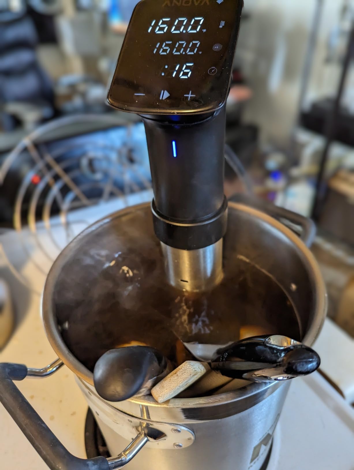 Anova Culinary Sous Vide Precision Cooker Pro, 1200 Watts, Black and Silver - Customer Photo 2