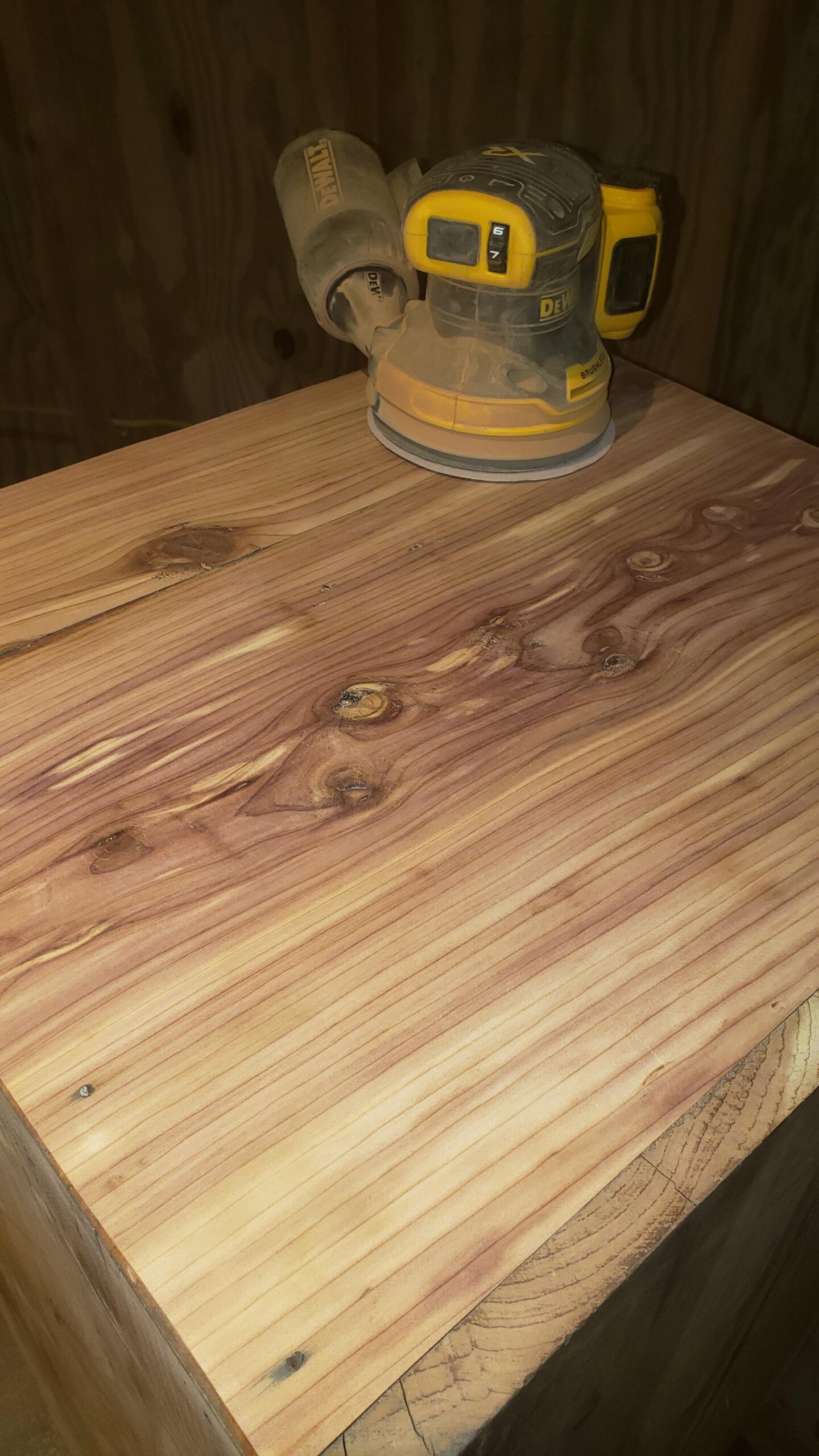 DEWALT 20V MAX Orbital Sander Cordless, 5-Inch Sander Tool, 2.Ah, 8,000-12,000 OPM, Variable Speed Dial, Storage Bag, Battery and Charger Included (DCW210D1) - Customer Photo 1