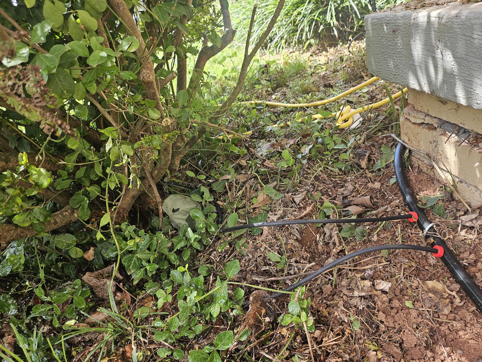 Rain Bird LNDDRIPKIT Drip Irrigation Landscape/Garden Watering Kit with Drippers, Micro-Bubblers, Micro-Sprays - Customer Photo 2