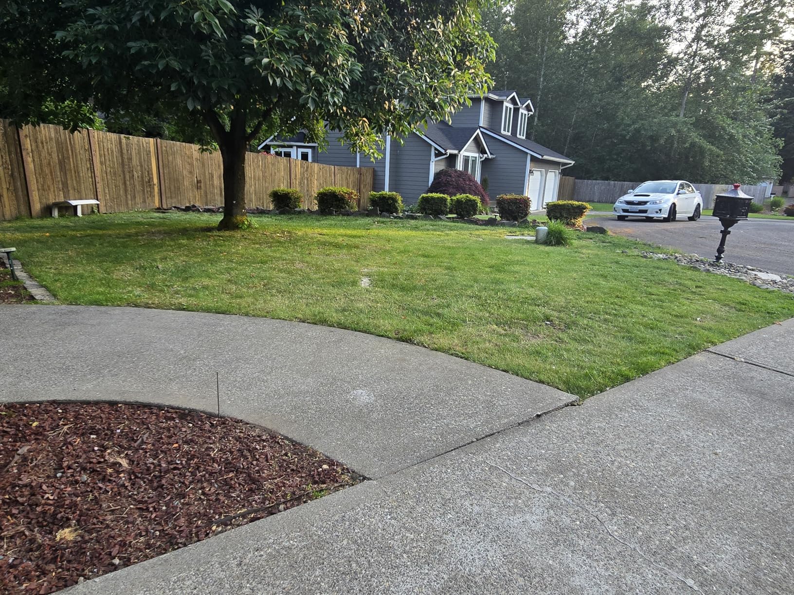 Orbit 50022 Medium-Area 1-Zone All-in-One Automatic Watering System with B-hyve Smart Hose Watering Timer and B-hyve Smart Wi-Fi Hub - Customer Photo 1