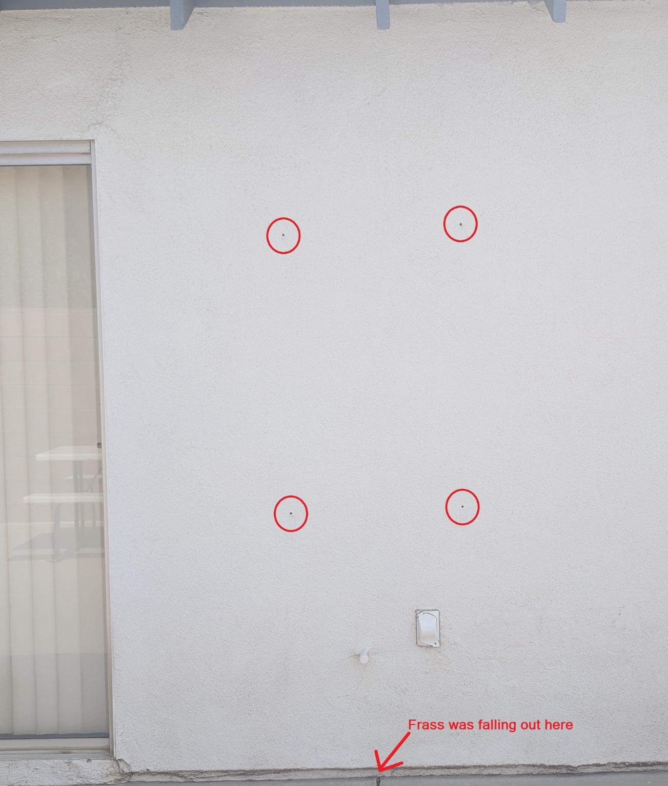 BASF Termidor Foam 20 oz - Termiticide Insecticide for Termites, Ants & Wood Destroying Pests & Insects - Customer Photo 1