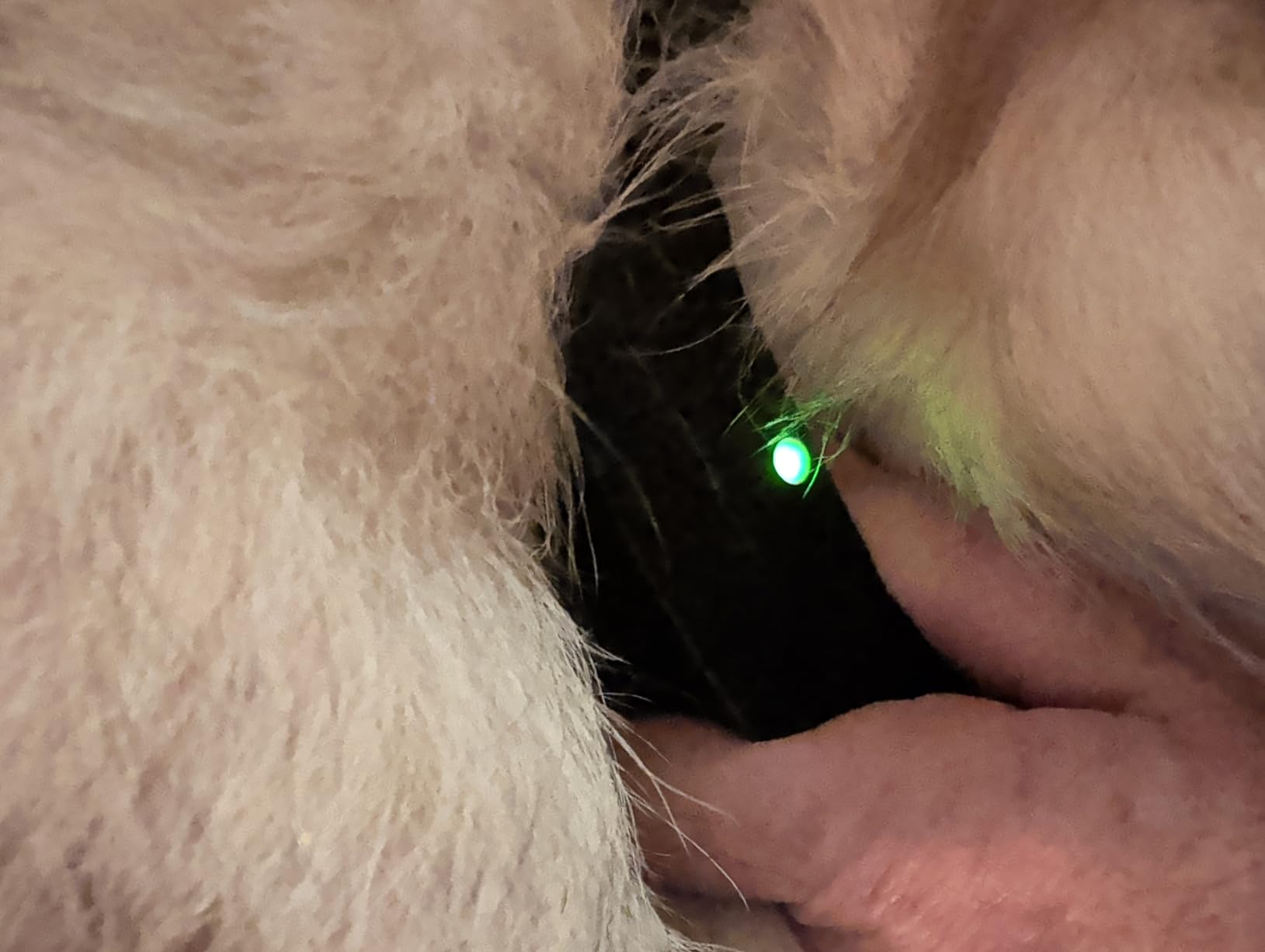 Product Customer Review Product - Customer Photo 1