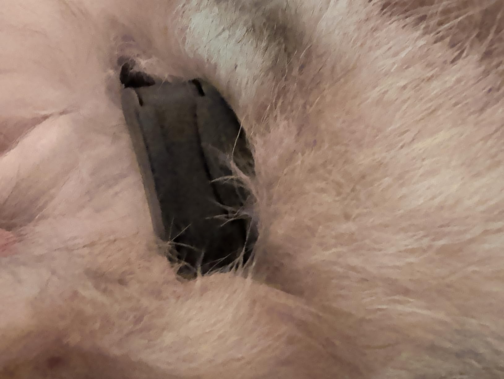 Product Customer Review Product - Customer Photo 2