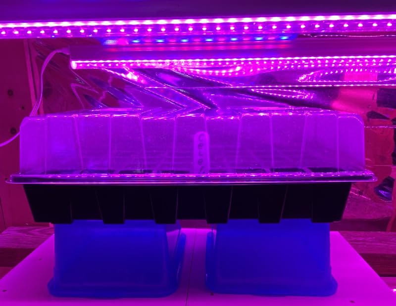 Gardzen 5-Set Seed Starter Tray Kits, Durable Plant Germination Trays with Humidity Vented Domes and Bases, Ideal for Seed Starting, Indoor Gardening, and Greenhouse (Total 200 Cells) - Customer Photo 1