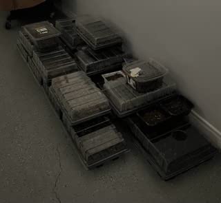 Gardzen 5-Set Seed Starter Tray Kits, Durable Plant Germination Trays with Humidity Vented Domes and Bases, Ideal for Seed Starting, Indoor Gardening, and Greenhouse (Total 200 Cells) - Customer Photo 2