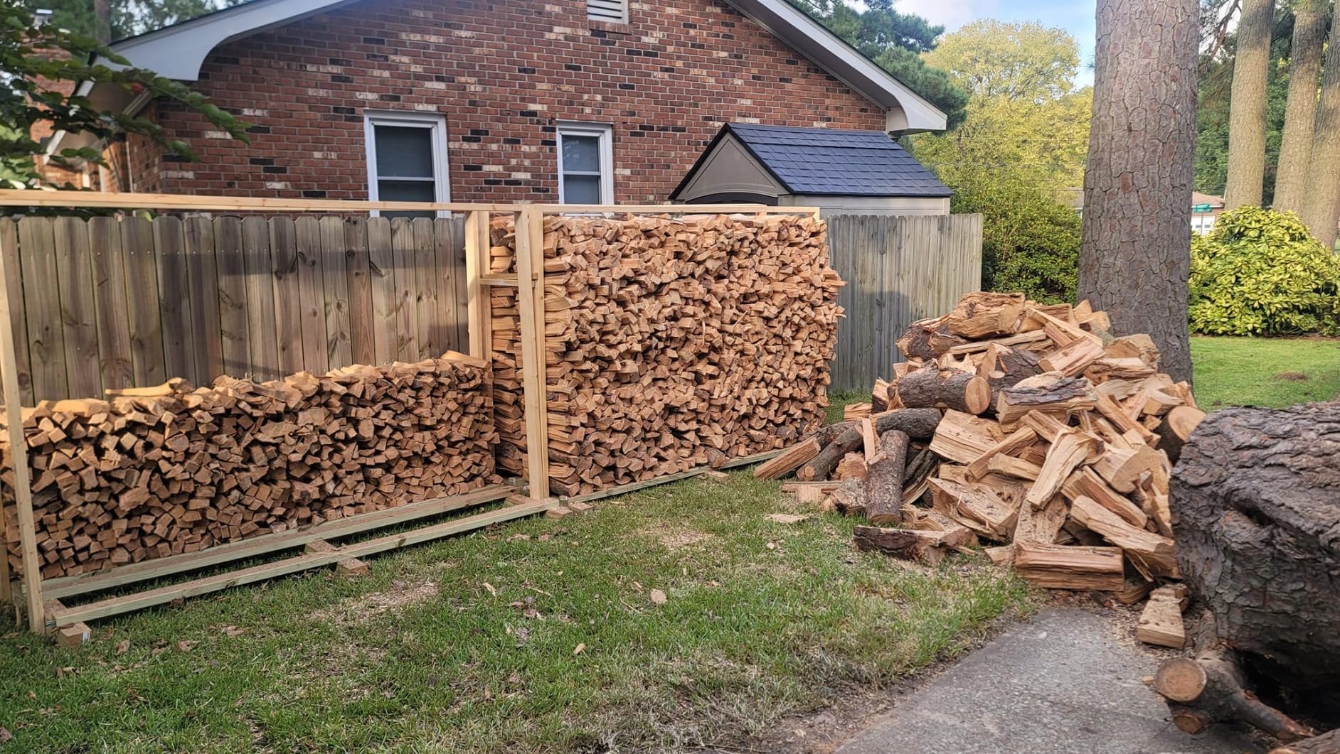 PROYAMA 58CC 2-Cycle Gas Powered Chainsaw, 16-Inch Top Handle Chain Saw, Gasoline Chainsaw 20-Inch for Tree Wood Cutting - Customer Photo 1