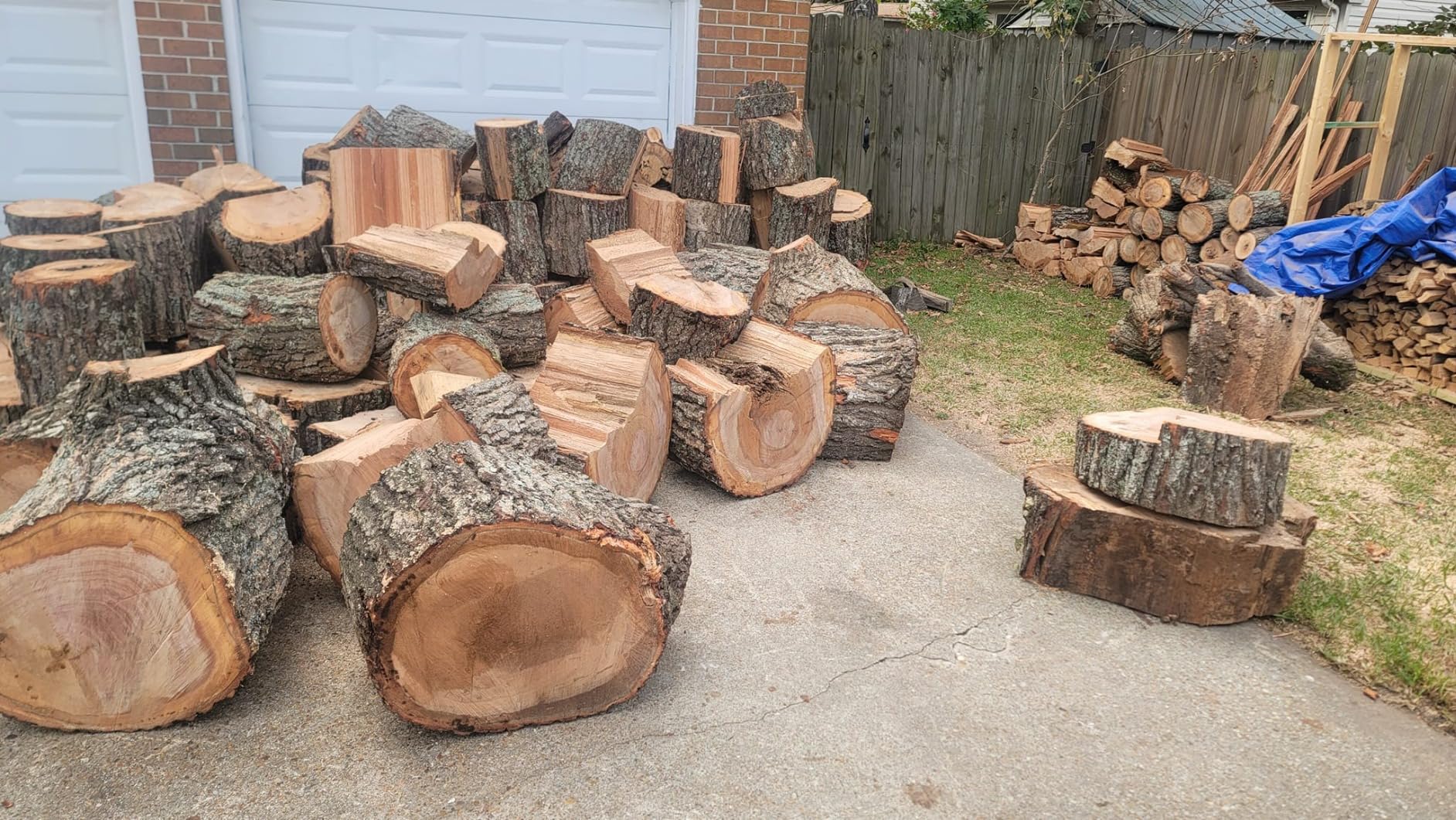 PROYAMA 58CC 2-Cycle Gas Powered Chainsaw, 16-Inch Top Handle Chain Saw, Gasoline Chainsaw 20-Inch for Tree Wood Cutting - Customer Photo 2