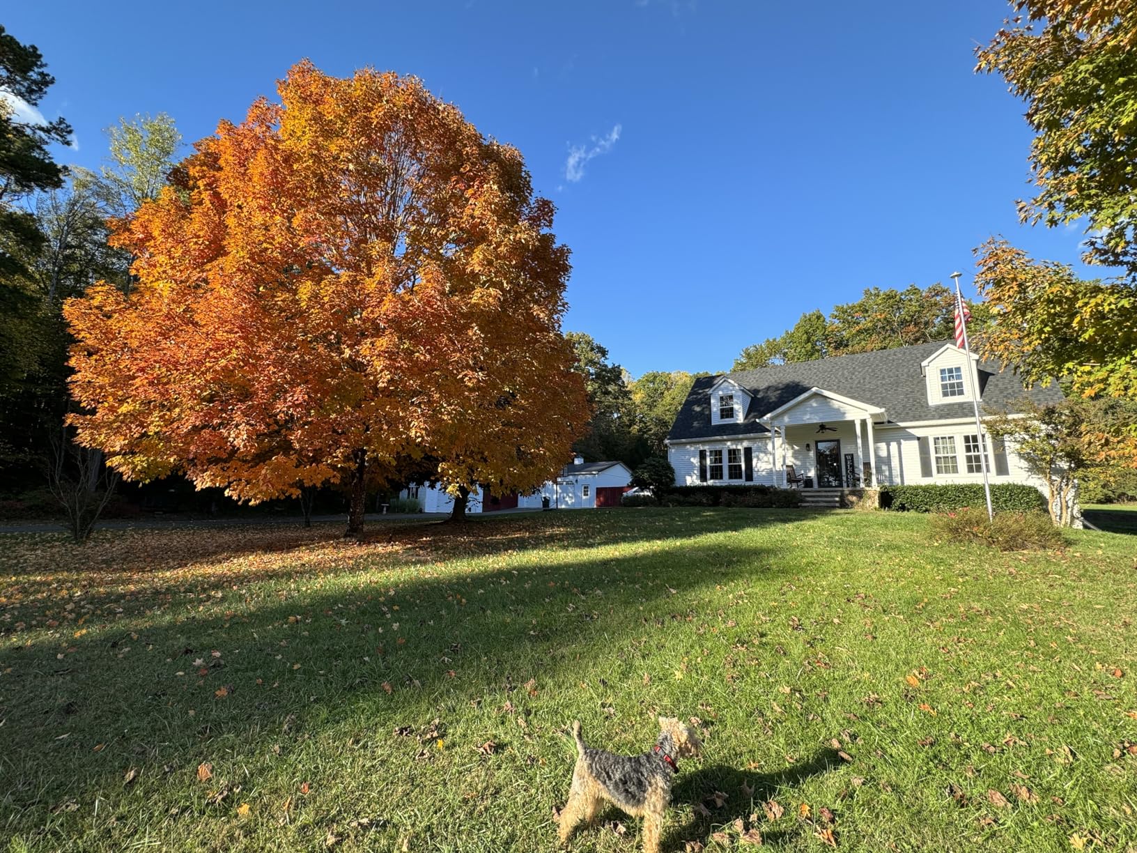 Product Customer Review Product - Customer Photo 1