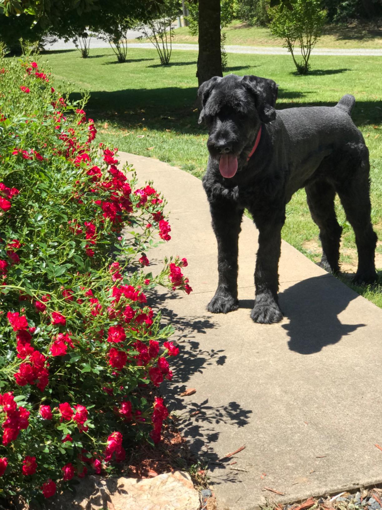 Product Customer Review Product - Customer Photo 2