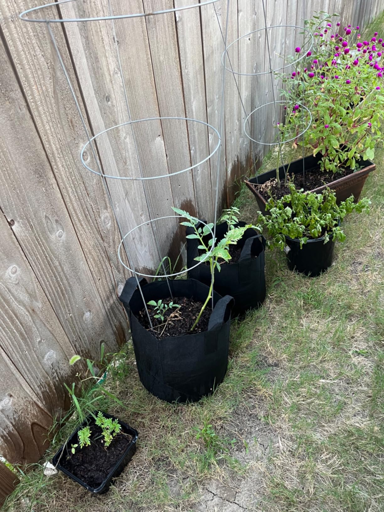 JERIA 12-Pack 7 Gallon, Vegetable/Flower/Plant Grow Bags, Aeration Fabric Pots with Handles (Black), Come with 12 Pcs Plant Labels - Customer Photo 4