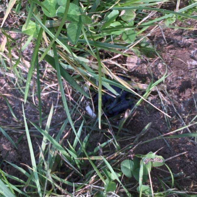 Hayward W3S244T ProSeries Sand Filter, 24-Inch, Top-Mount Customer Review Hayward W3S244T ProSeries Sand Filter, 24-Inch, Top-Mount - Customer Photo 1