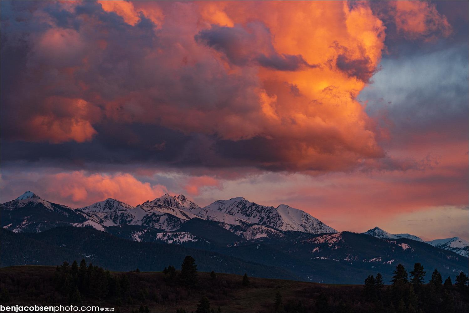 Sony FE 200-600mm f/5.6-6.3 G OSS Super Telephoto Zoom Lens - Customer Photo 2