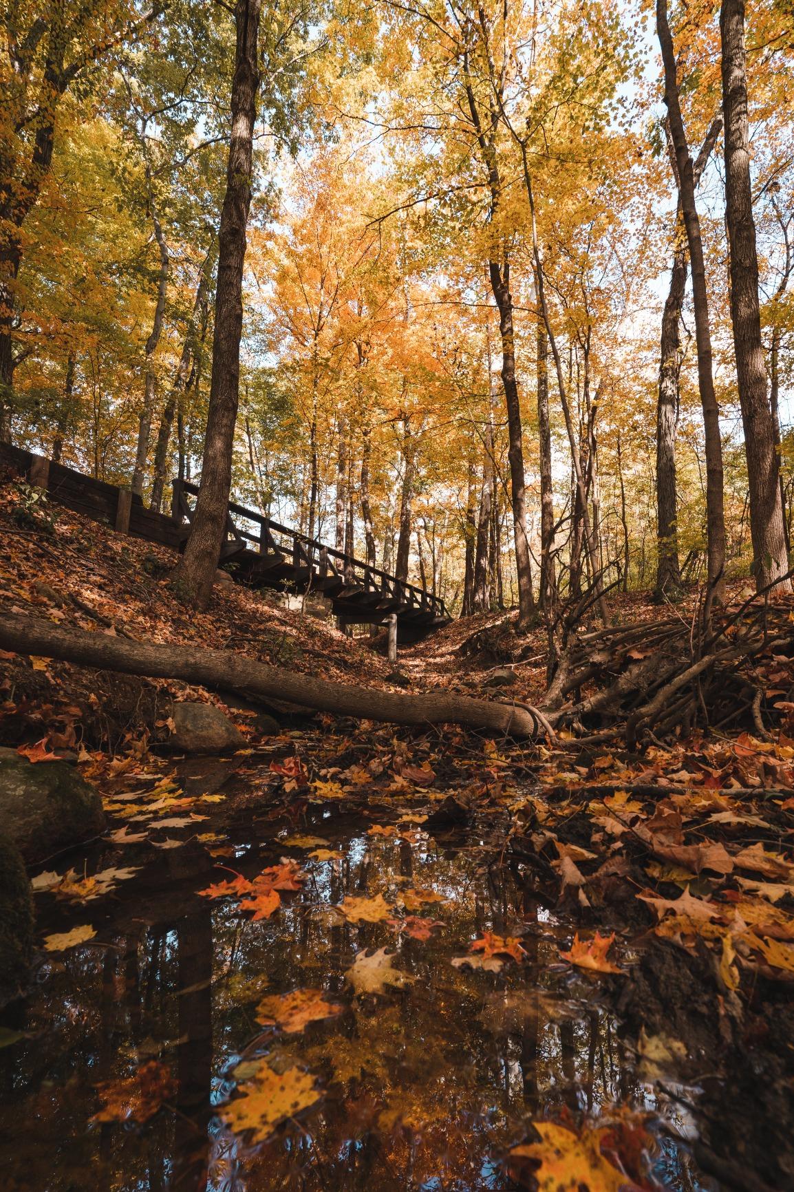 Tamron 17-28mm f/2.8 Di III RXD for Sony Mirrorless Full Frame/APS-C E Mount, Black (AFA046S700) - Customer Photo 1