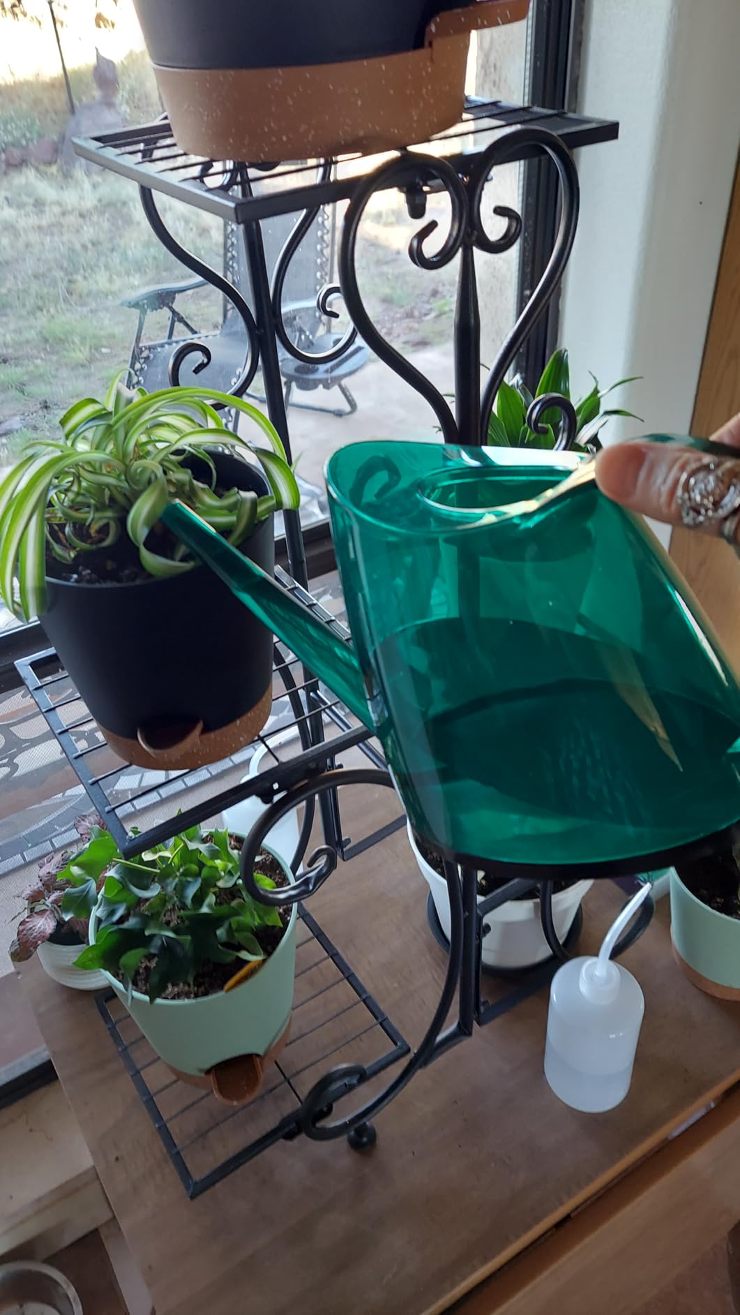 WhaleLife Indoor Watering Can for House Bonsai Plants (1.4L, Green) - Customer Photo 1