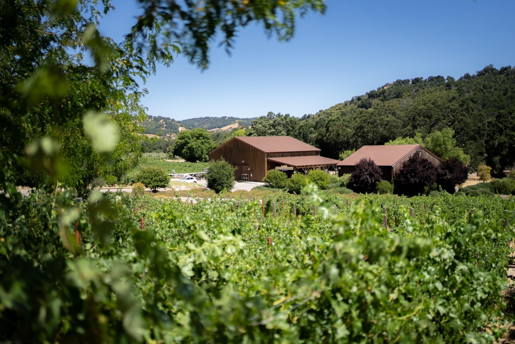 Sony FE 35mm F1.8 Large Aperture Prime Lens - Customer Photo 2