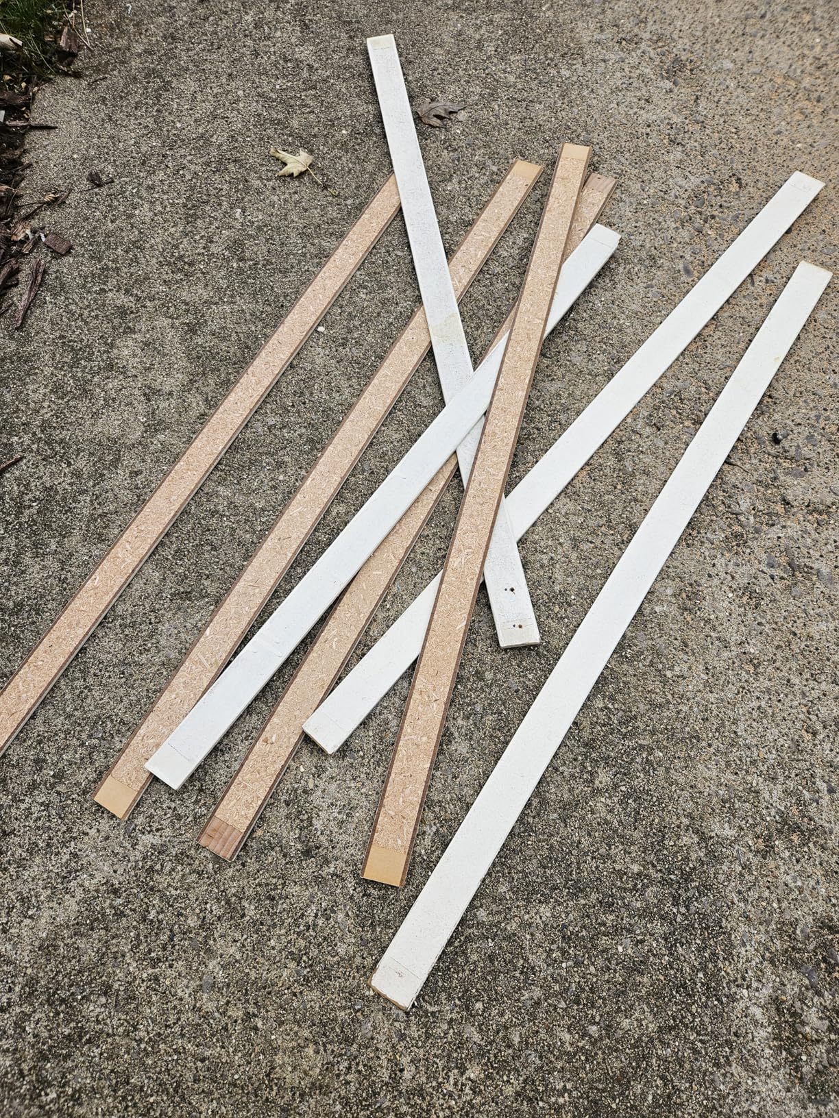 WEN CT1065 10-Amp 6.5-Inch Plunge Cut Sidewinder Circular Track Saw,Black - Customer Photo 2